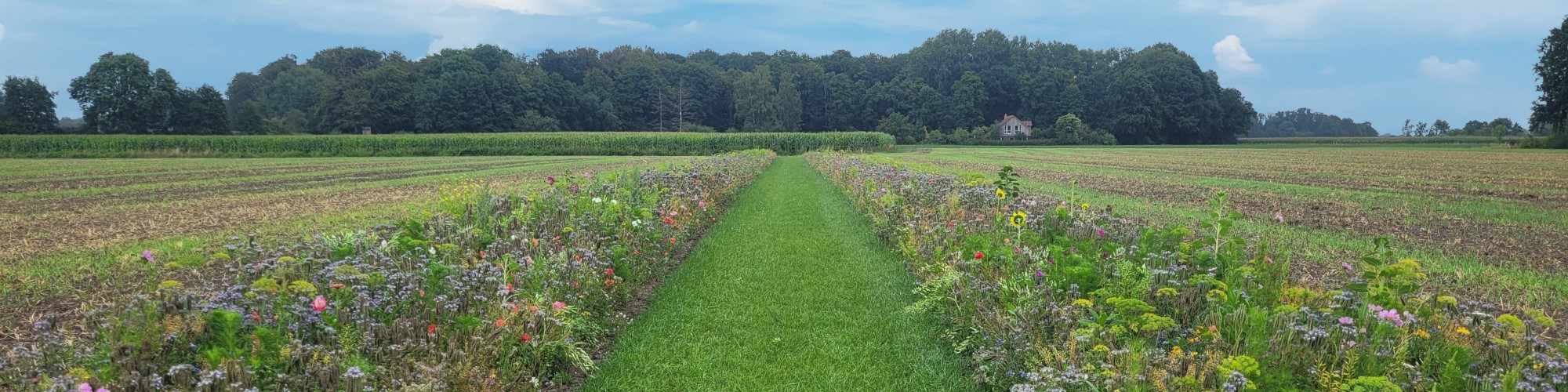 Everswinkel Ferienhof